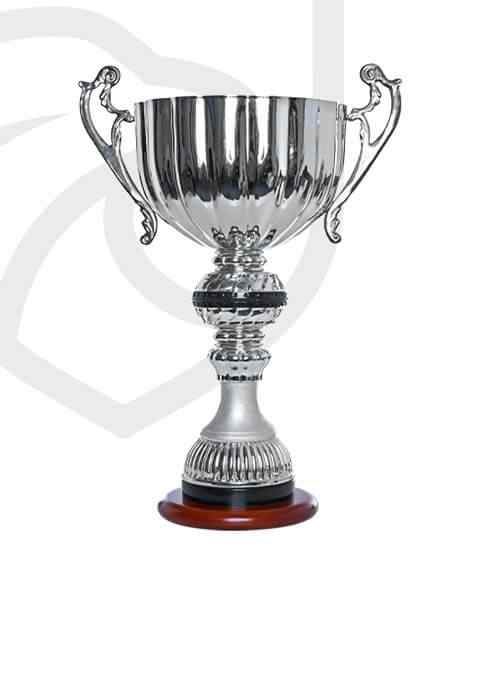 https://buffalobills.es/wp-content/uploads/2022/11/trophy_overlay_01.jpg