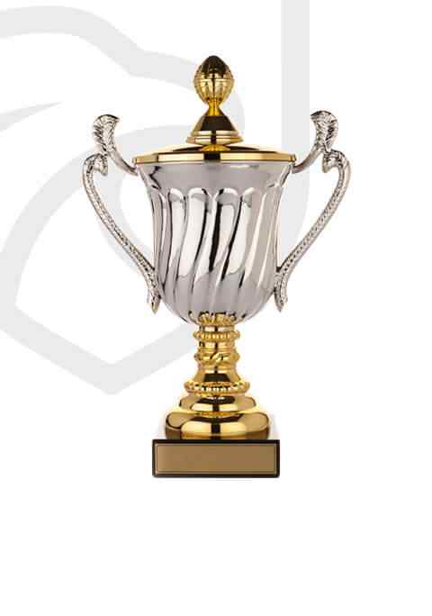 https://buffalobills.es/wp-content/uploads/2022/11/trophy_overlay_02.jpg