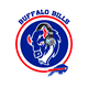 Bills Mafia Spain